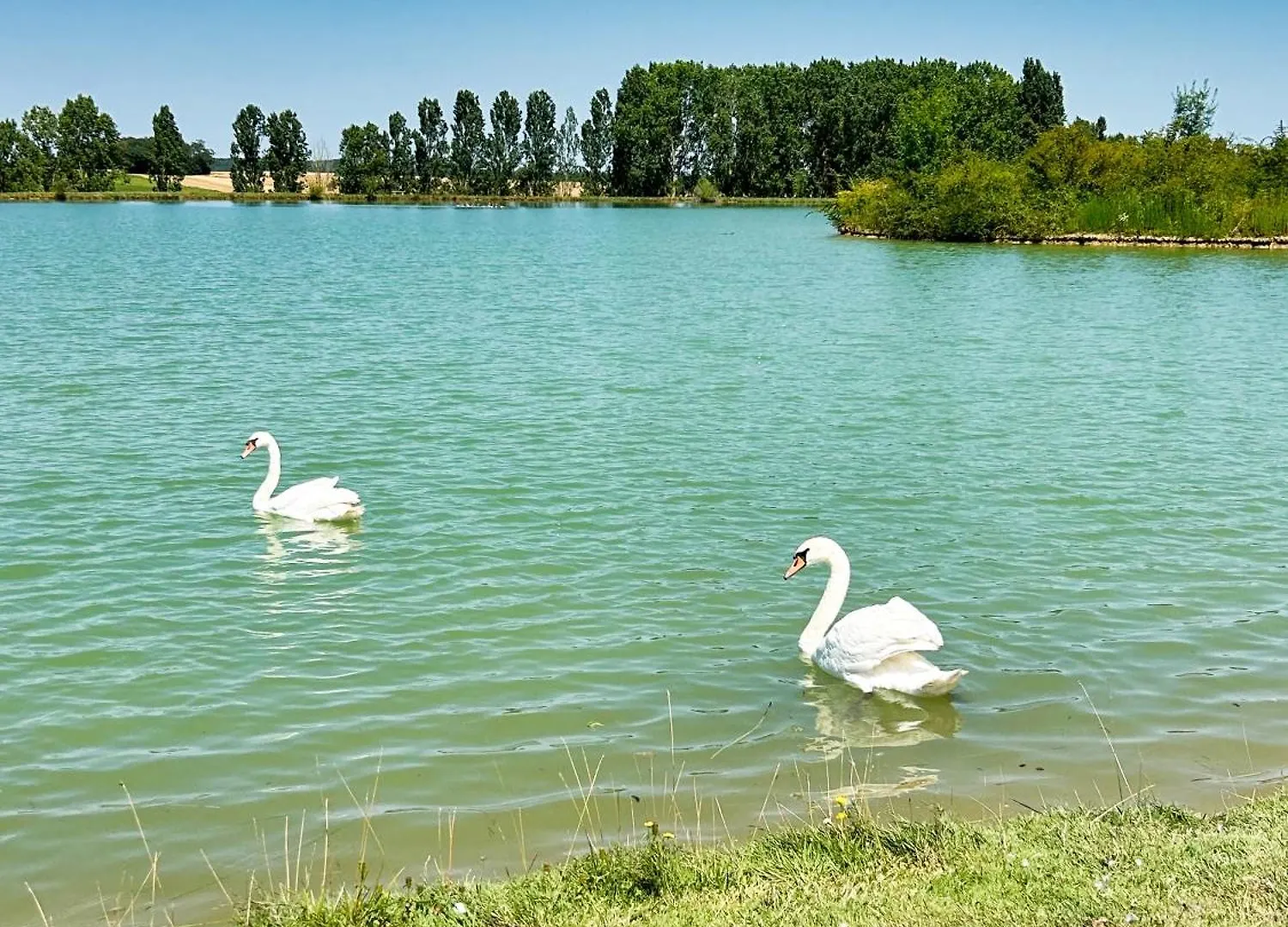 Villa Sheila - Au Bord De L'Eau Avec Piscine Prechac